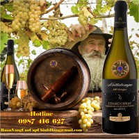 Vang Trắng Ý - Nottetempo 100 Barrique Chardonnay Salento