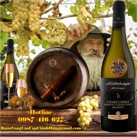 Vang Trắng Ý - Nottetempo 100 Barrique Chardonnay Salento