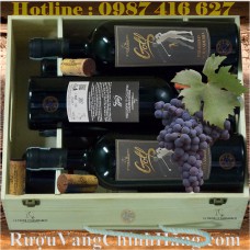 Vang Ý - Golf Primitivo Di Manduria