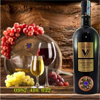 Vang Ý - V Negroamaro Salento