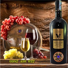 Vang Ý - V Negroamaro Salento